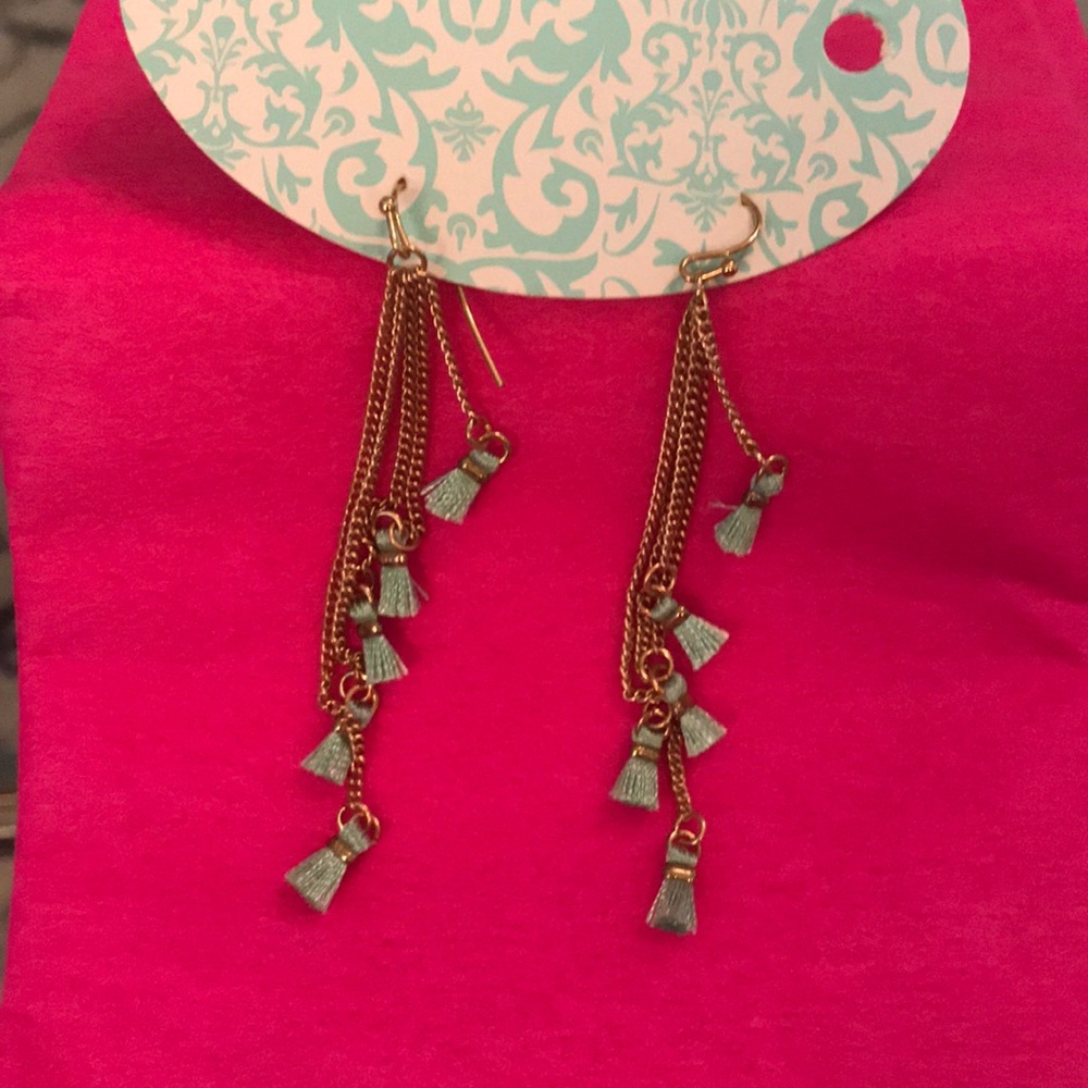 Tassel Earrings. NWT.❤️